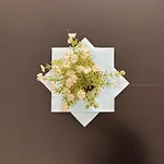 Apartament Agi *
